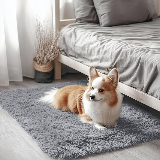 OLANLY 2x2 Machine Washable Small Rug, Soft Fluffy Shaggy Throw Rug for Bedroom, Entryway, Indoor Floor Carpet for Kids, Nursery, Home Decor, Light Grey